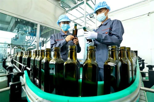 從初加工到精深加工 張掖高臺(tái)食用保健油的粵閩商機(jī)