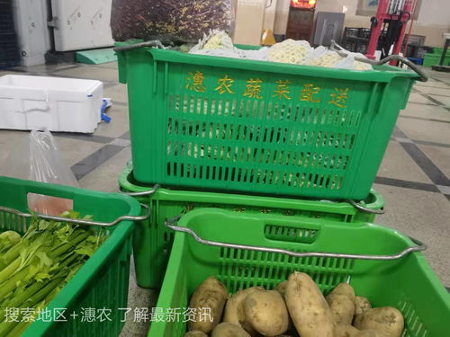 廈門市同安區蔬菜配送及9月農產品供需形勢與食用農產品初加工分析