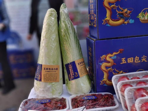 京冀合作再添51家環京蔬菜生產基地 深化食用農產品初加工布局